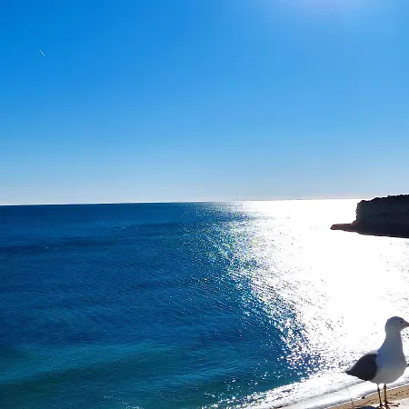 61 Casa Pitta Manau - Casas&papéis